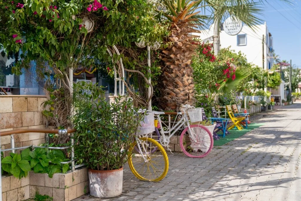 Çağlar My House Apart