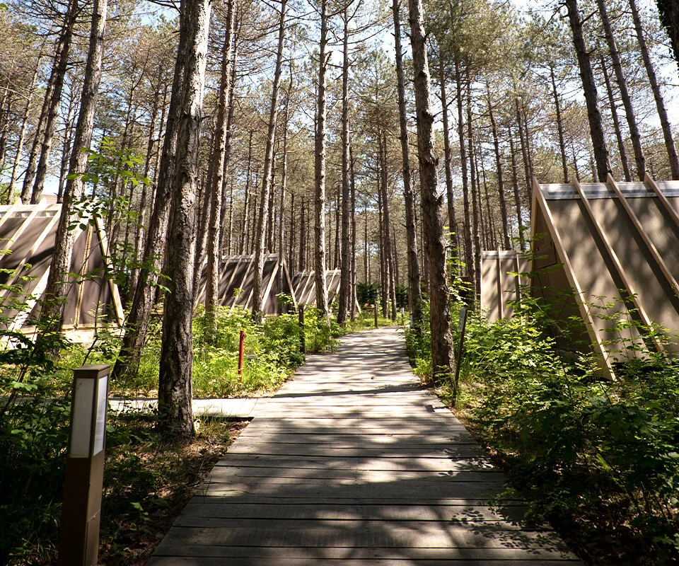 Longosphere Glamping