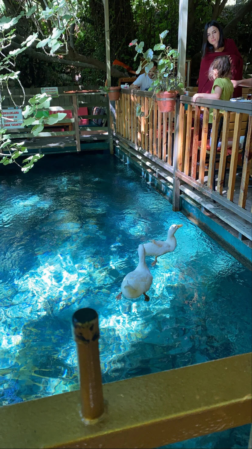 Yuvarlakçay Çınar Otel